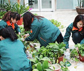 JDB电子平台团队风范