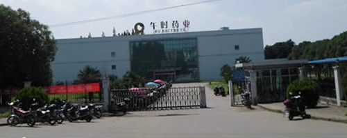 中午药业