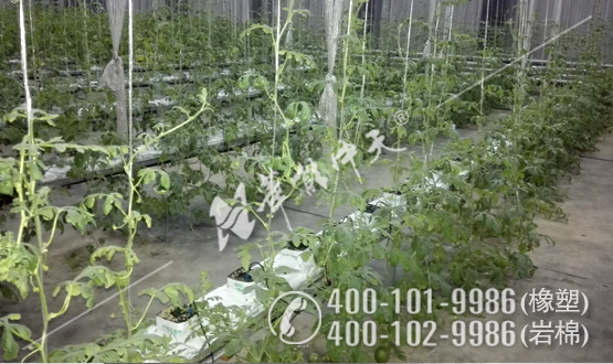 无土莳植岩棉板